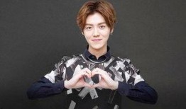 明星照片 911爆料,揭秘明星真实生活瞬间